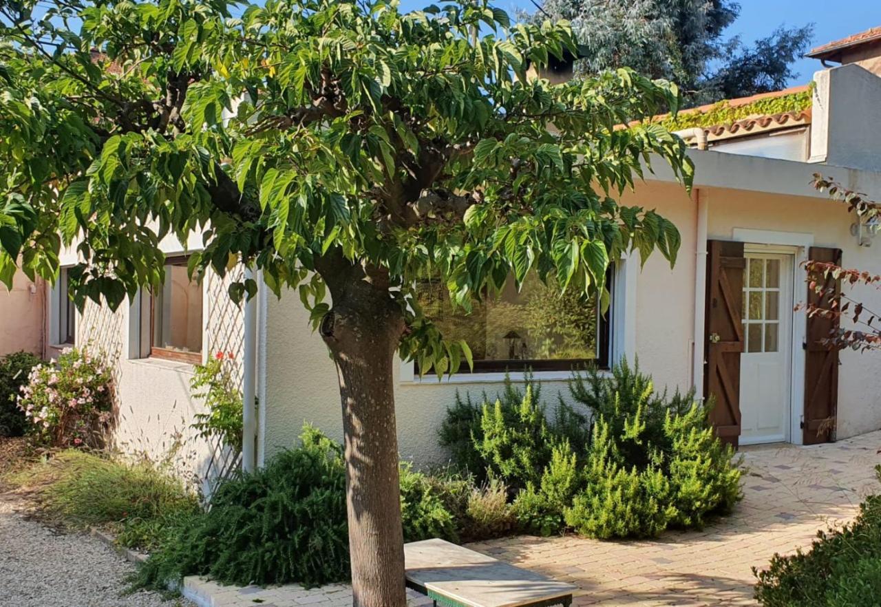 Haus Mit Garten Ueber Der Bucht Von Cannes Vallauris Εξωτερικό φωτογραφία