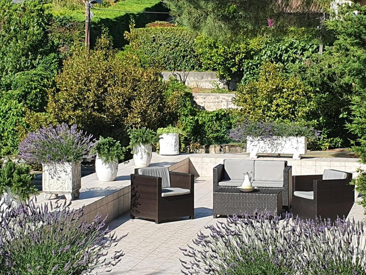 Haus Mit Garten Ueber Der Bucht Von Cannes Vallauris Εξωτερικό φωτογραφία