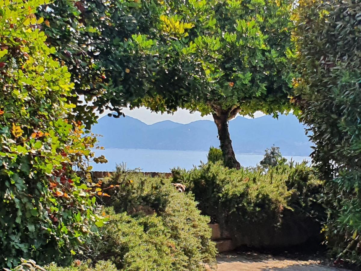 Haus Mit Garten Ueber Der Bucht Von Cannes Vallauris Εξωτερικό φωτογραφία